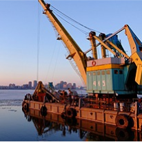 Industry Standard Services